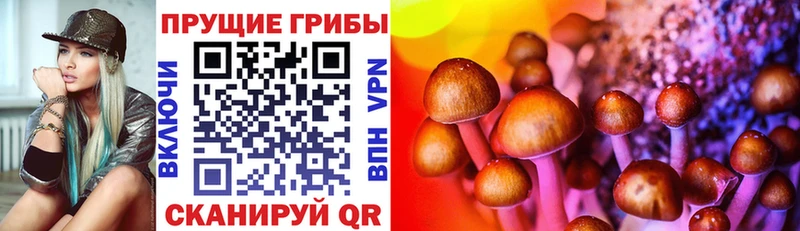 хочу наркоту  Ульяновск  Псилоцибиновые грибы Psilocybe 