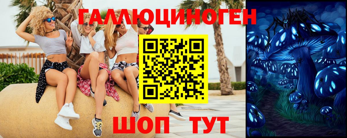 Ульяновск  Галлюциногенные грибы Magic Shrooms  Псилоцибиновые грибы ЛСД  Вход с VPN 